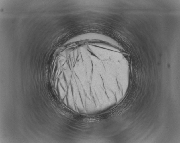 X0000061120745200512161439