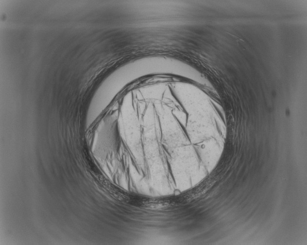 X0000061120746200512161439