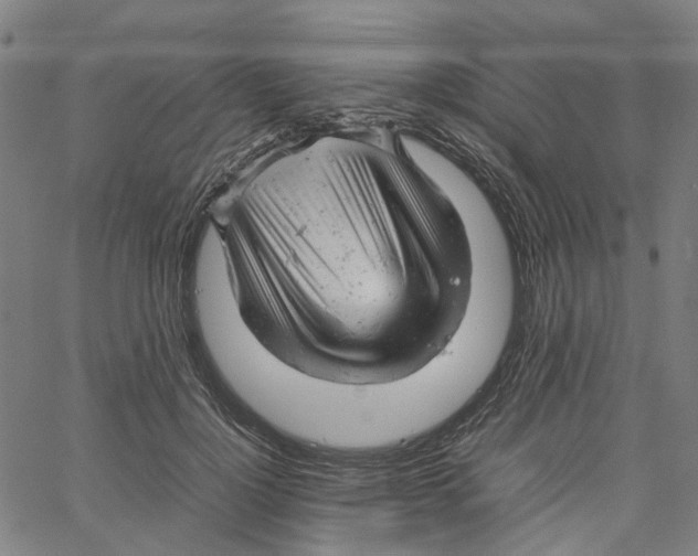 X0000061120748200512161439