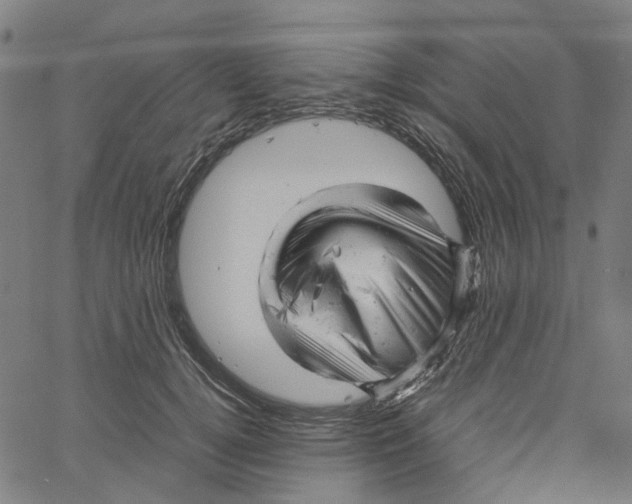 X0000061120752200512161439