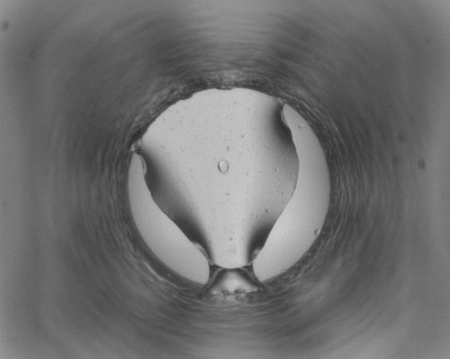 X0000061120760200512161439