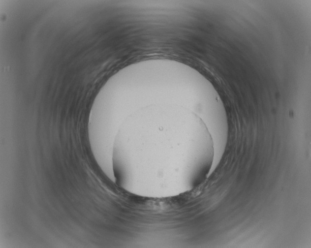 X0000061120764200512161439