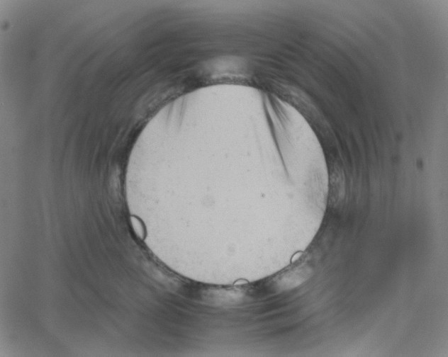 X0000061120765200512161439