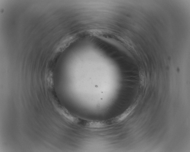 X0000061120766200512161439