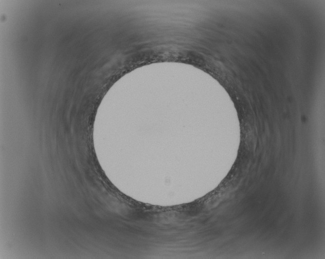 X0000061120769200512161438
