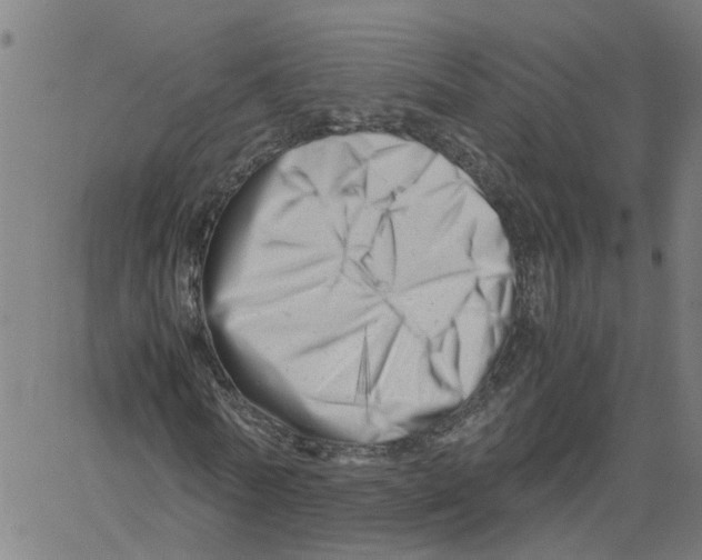 X0000061120770200512161438