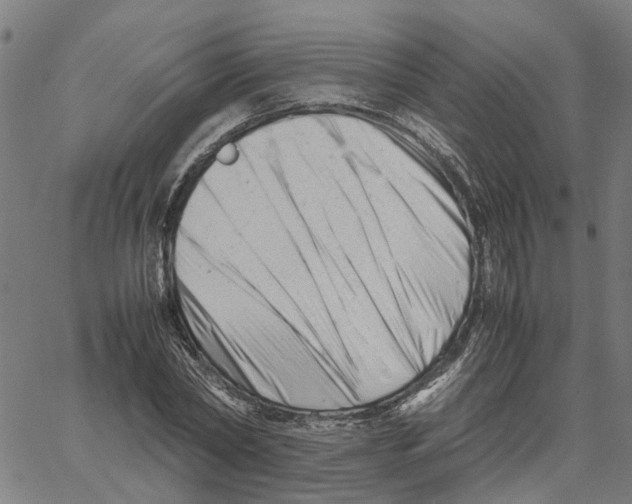 X0000061120782200512161438