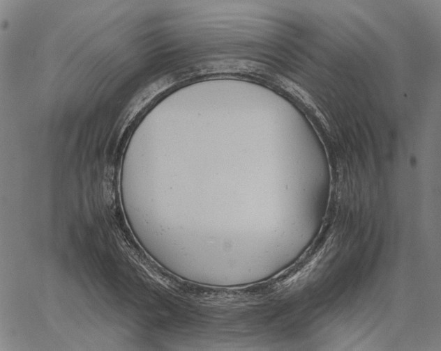 X0000061120786200512161438