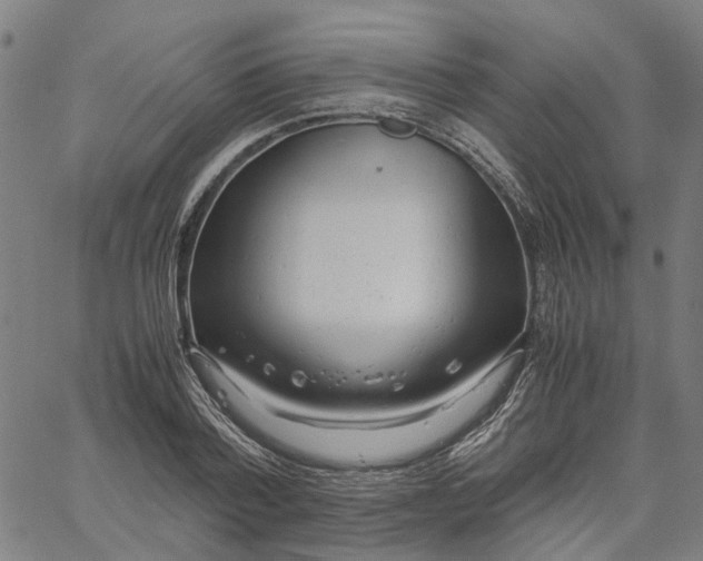 X0000061120788200512161438