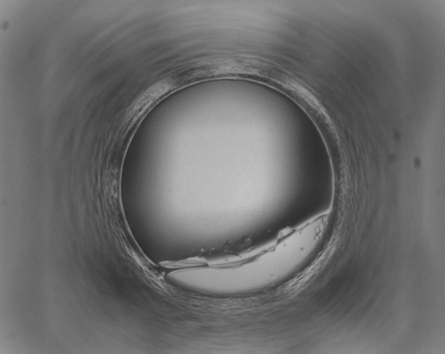 X0000061120793200512161438