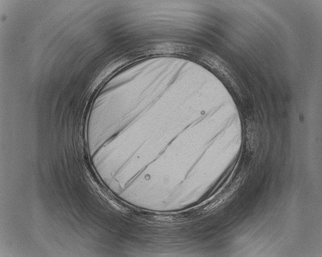 X0000061120794200512161438