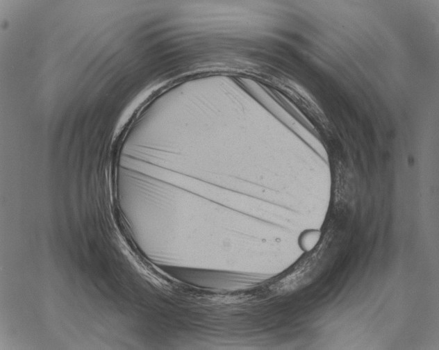 X0000061120796200512161438