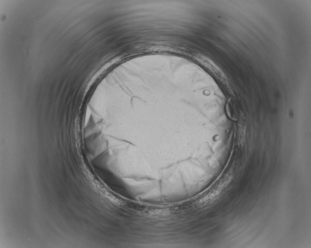 X0000061120798200512161438