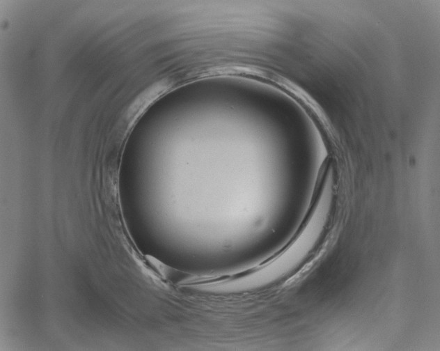 X0000061120809200512161437