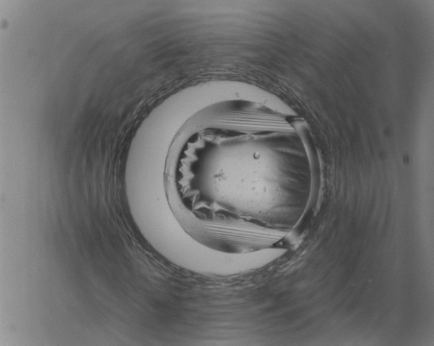 X0000061120818200512161437