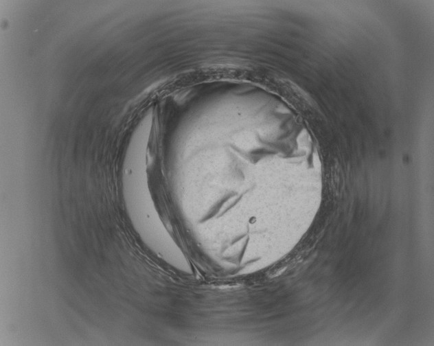 X0000061120821200512161437