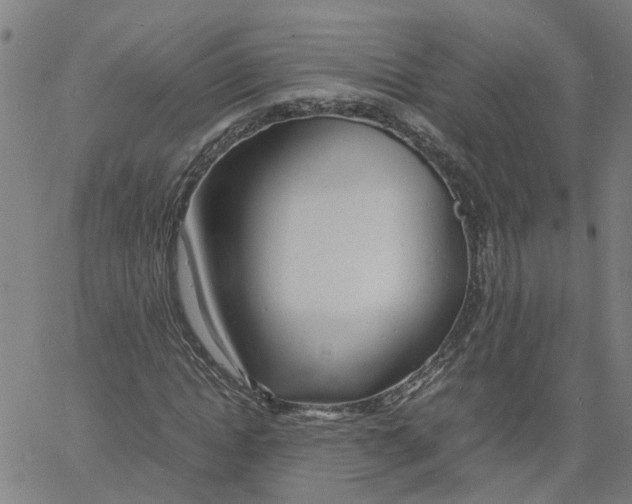 X0000061120822200512161437