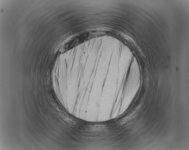 X0000061120833200512161437