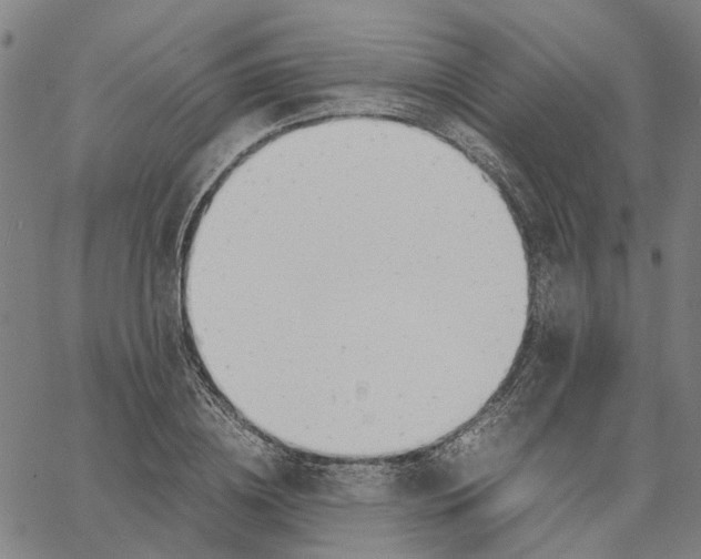 X0000061120836200512161437