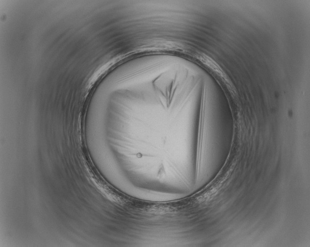 X0000061120842200512161437