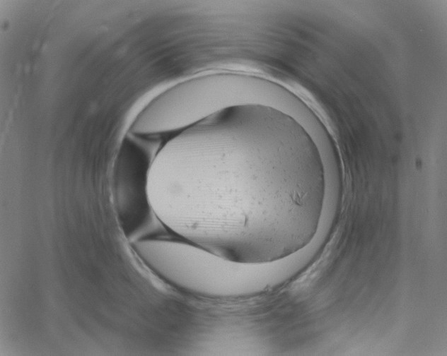X0000061120862200512161437