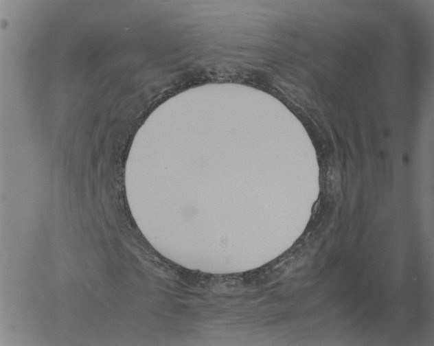 X0000061120865200512161437