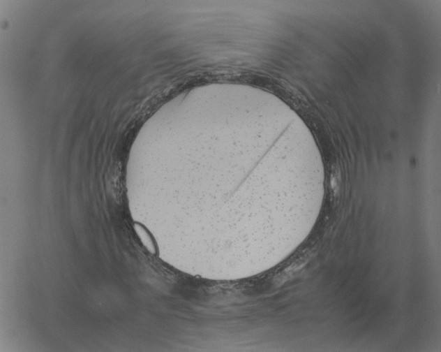 X0000061120867200512161437