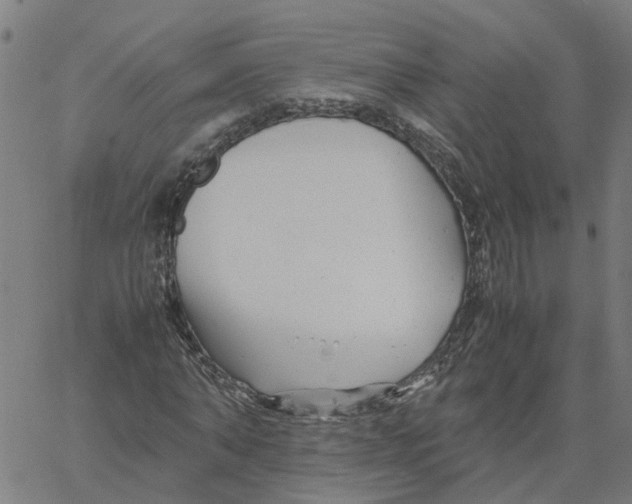 X0000061120870200512161436