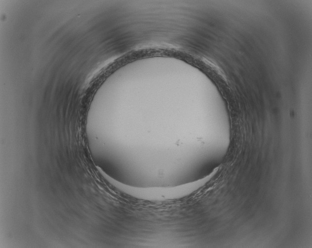 X0000061120872200512161436
