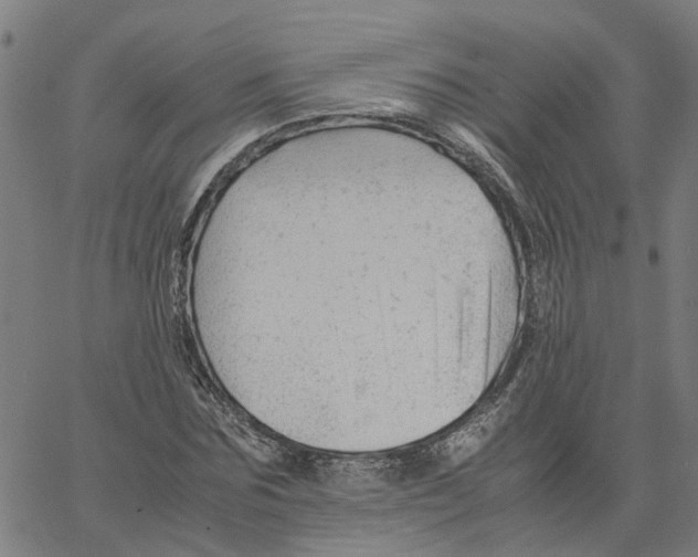 X0000061120875200512161436