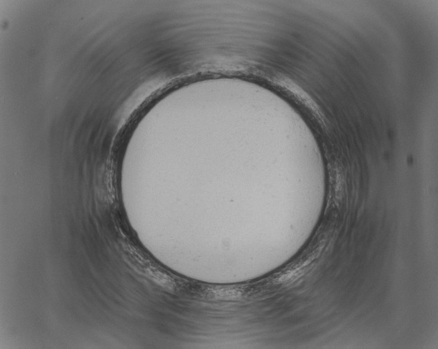 X0000061120878200512161436