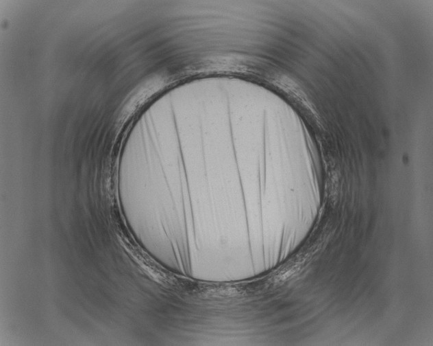 X0000061120882200512161436