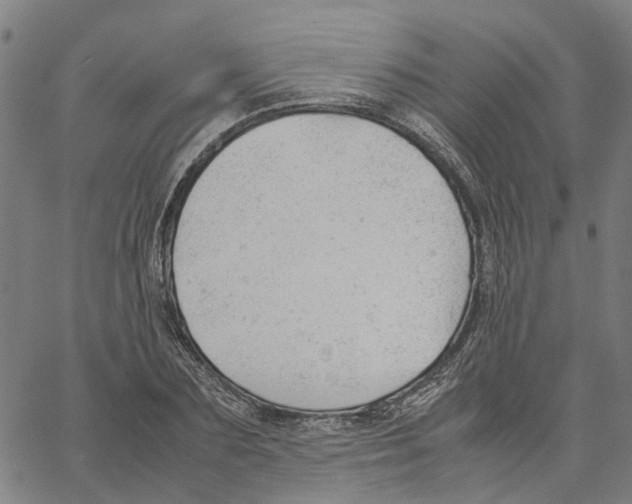 X0000061120883200512161436