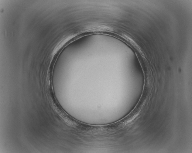 X0000061120885200512161436
