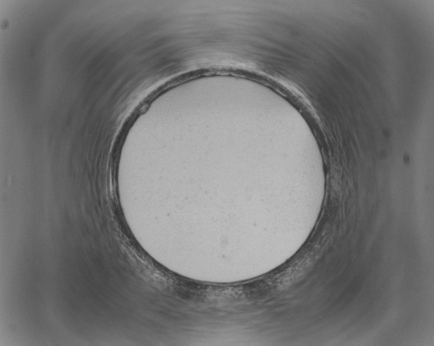 X0000061120887200512161436