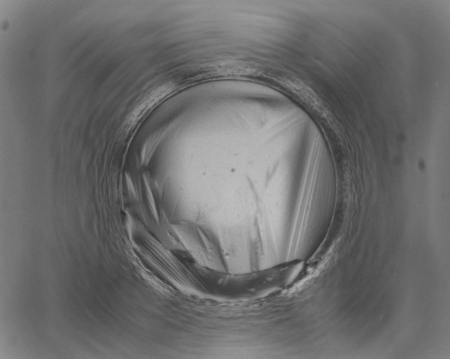 X0000061120889200512161436