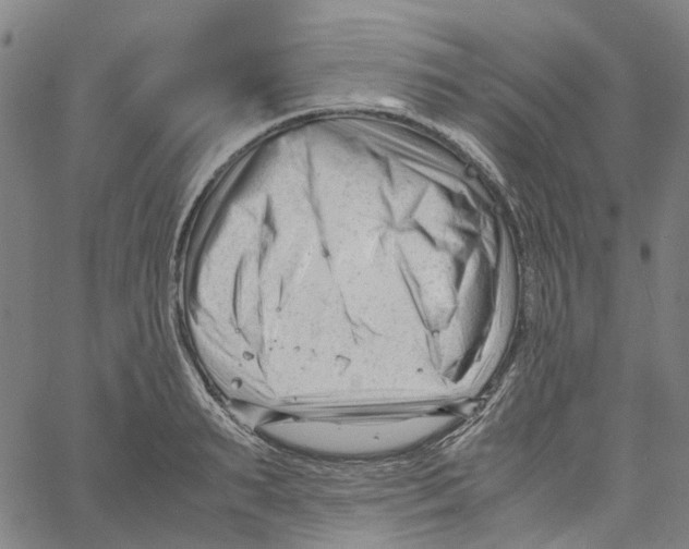 X0000061120895200512161436