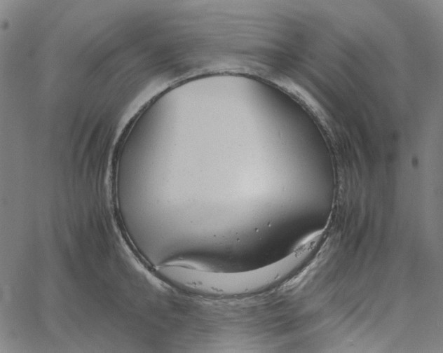 X0000061120902200512161436