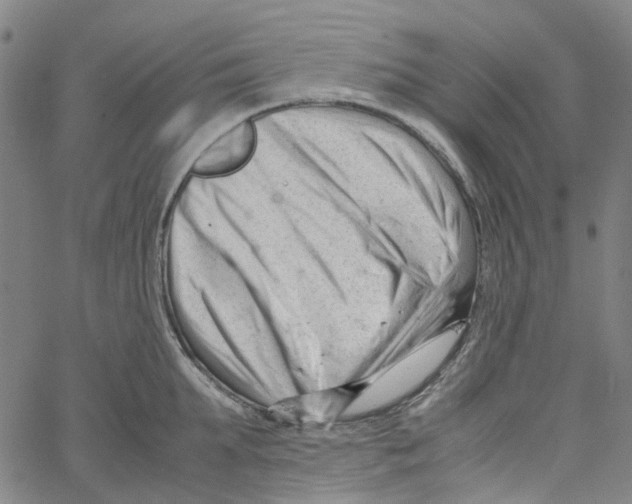 X0000061120903200512161436