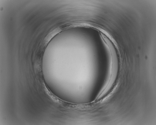 X0000061120905200512161436