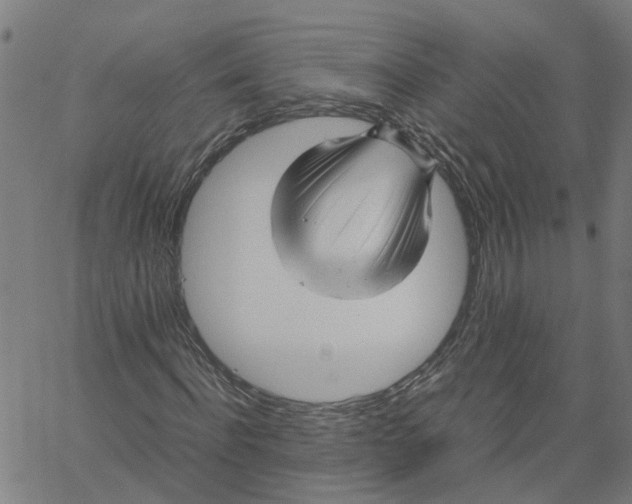 X0000061120916200512161435