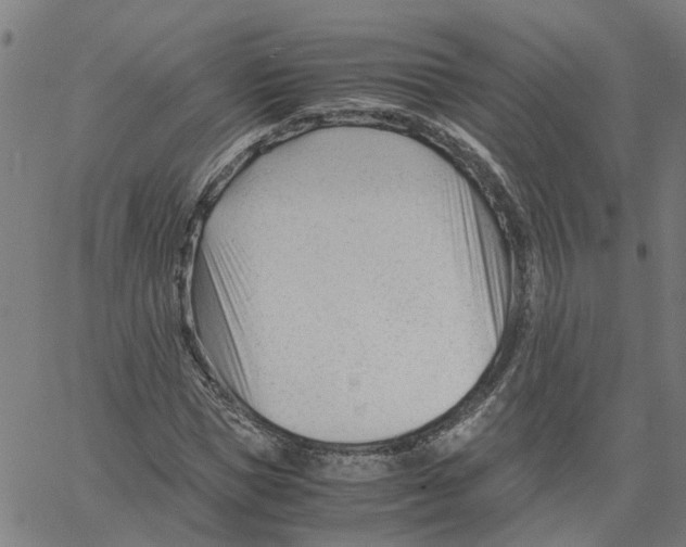 X0000061120921200512161435