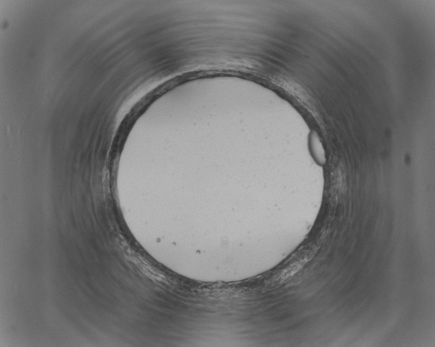 X0000061120928200512161435