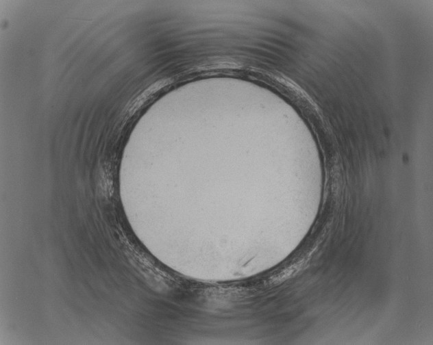 X0000061120929200512161435