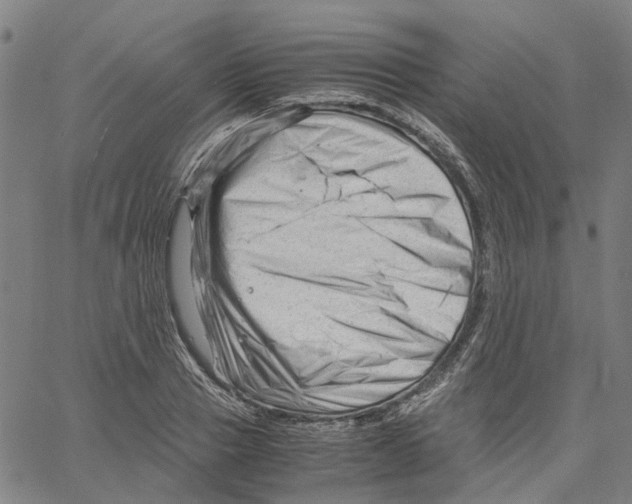 X0000061120937200512161435