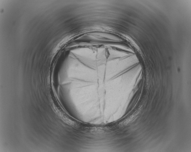 X0000061120938200512161435