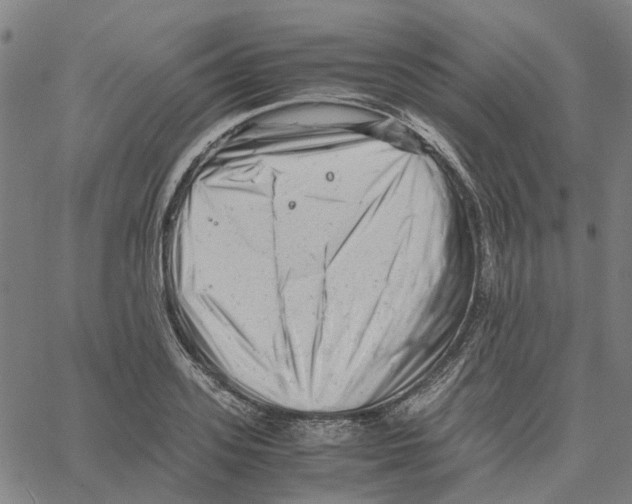 X0000061120939200512161435