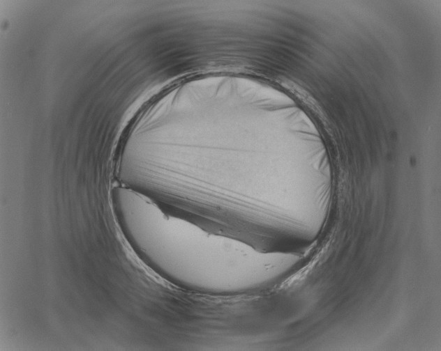 X0000061120941200512161435