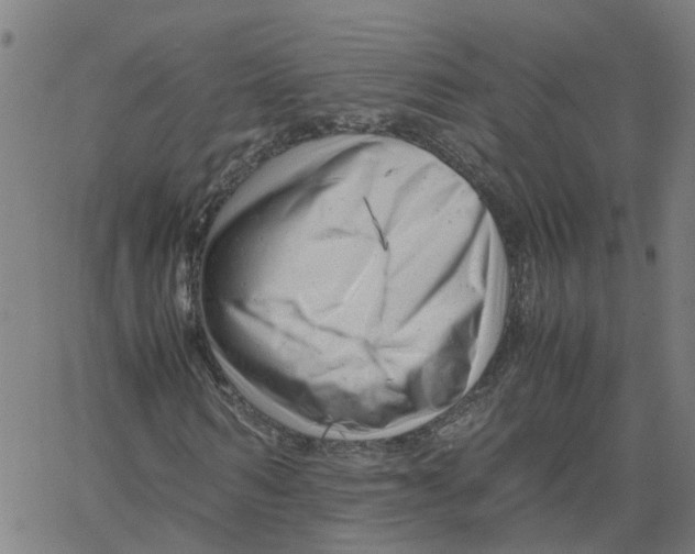 X0000061120962200512161435