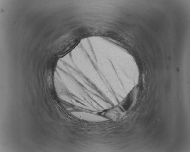 X0000061120963200512161435